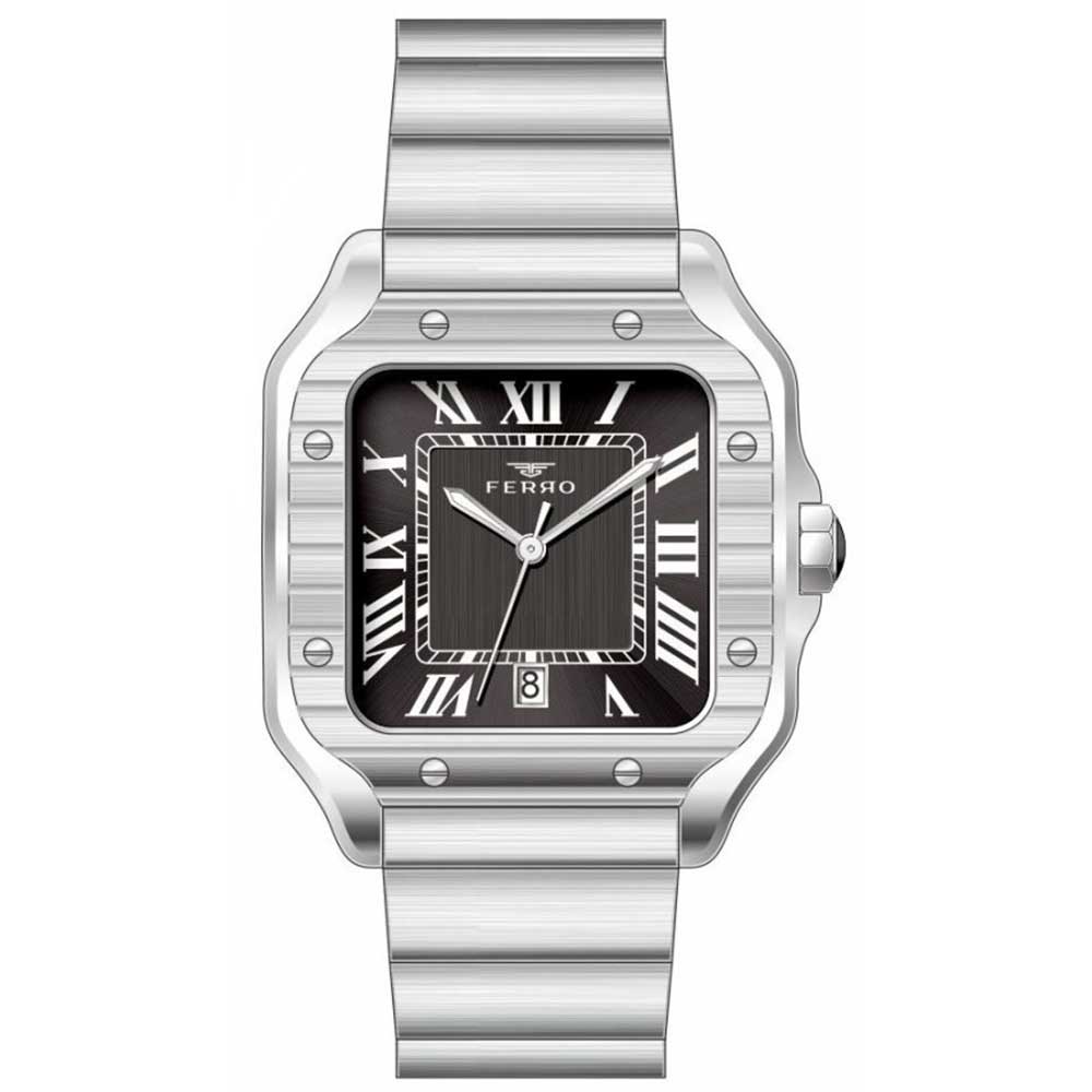 FERRO WATCH