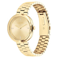CALVIN KLEIN, TWISTED BEZEL
