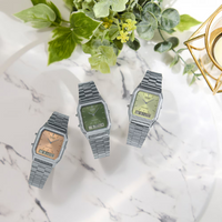 CASIO, ANALOG