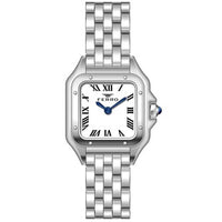 FERRO WATCH