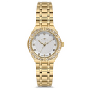 FERRO WATCH