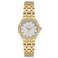 FERRO WATCH