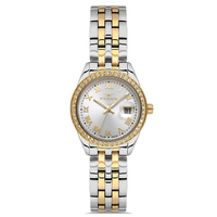 FERRO WATCH