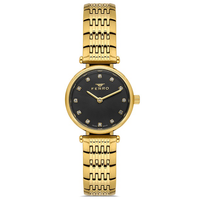 FERRO WATCH