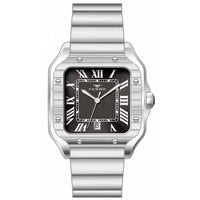 FERRO WATCH