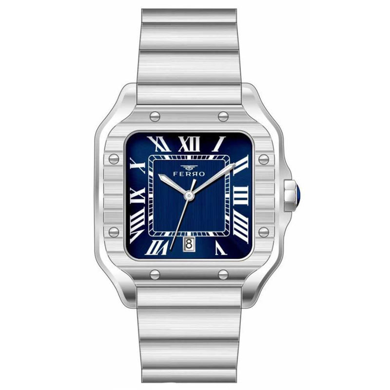 FERRO WATCH