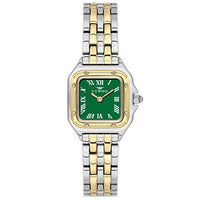 FERRO WATCH